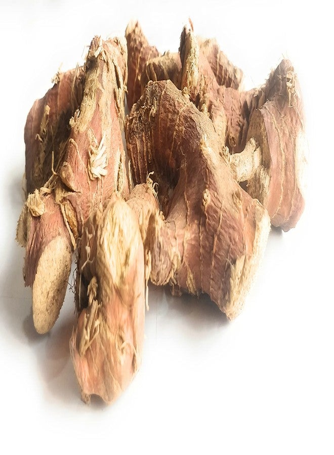 Ayushiv Kulanjan (Alpinia Galanga) - Paan Root - Paan Jadd - Kulinjan - Kulanjan Jad (100 GM)